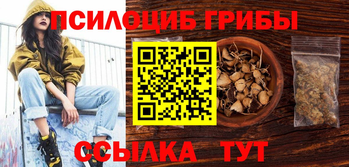 Галлюциногенные грибы прущие грибы Кимры