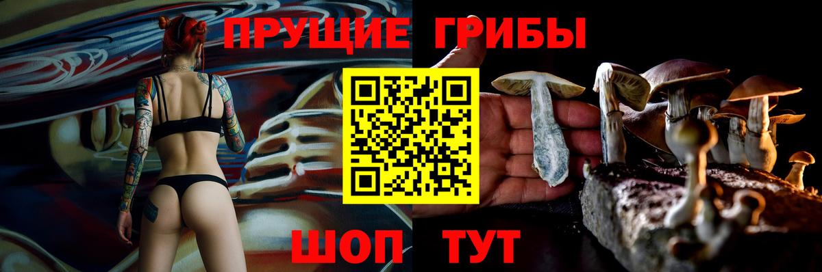 Псилоцибиновые грибы Psilocybe  Вход с VPN  Кимры  Галлюциногенные грибы GOLDEN TEACHER 